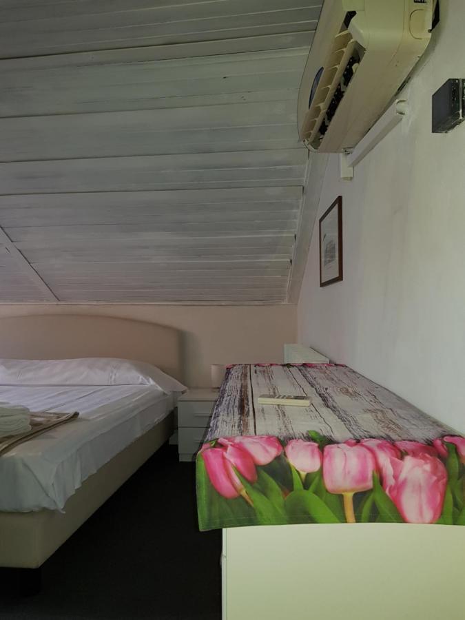 Butterfly Guest House เวนิส ภายนอก รูปภาพ